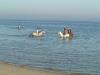 DSCF0018_thumb.jpg 1.8K