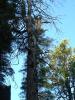 DSCF0203_thumb.jpg 3.4K