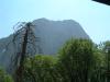 DSCF0268_thumb.jpg 2.0K