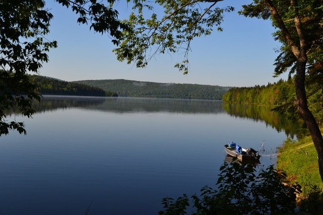 Camp