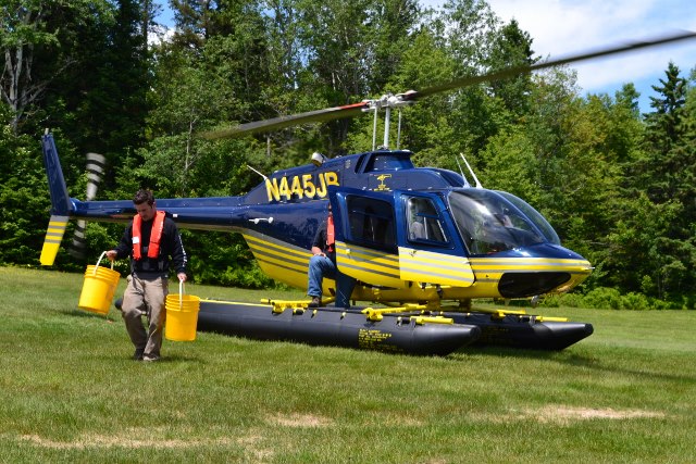 Helicopter