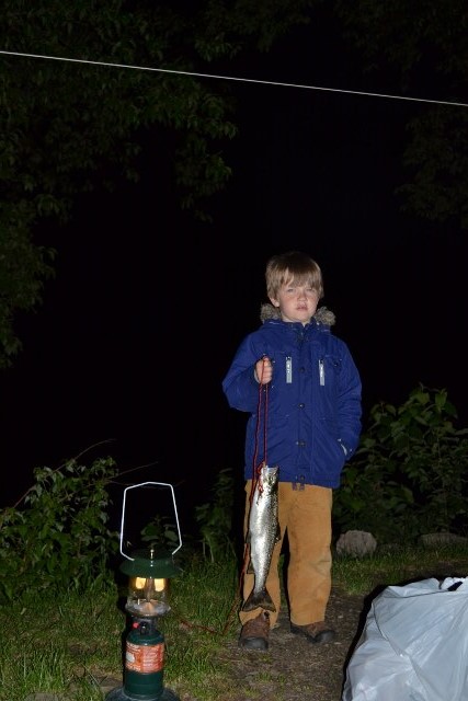 Salmon
