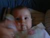 DSCF0017_thumb.jpg 1.9K