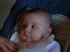 DSCF0020_thumb.jpg 2.0K