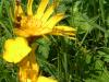 DSCF0014_thumb.jpg 3.4K