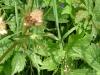 DSCF0029_thumb.jpg 3.4K