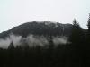 mountain_mist_thumb.jpg 1.6K