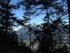 pano_trees_thumb.jpg 3.2K