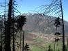pano_up_top2_thumb.jpg 3.0K