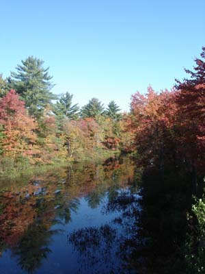 Fall