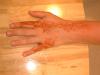 DSCF0025_thumb.jpg 1.9K