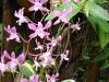 DSCF0105.JPG 148.4K