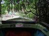 boatmangrove.JPG 166.3K
